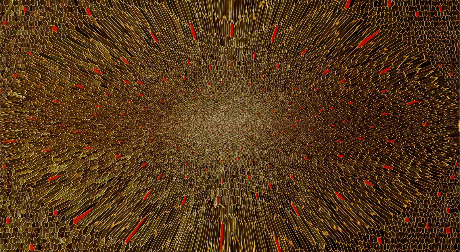 Redes), composición abstracta de Alberto Cassano